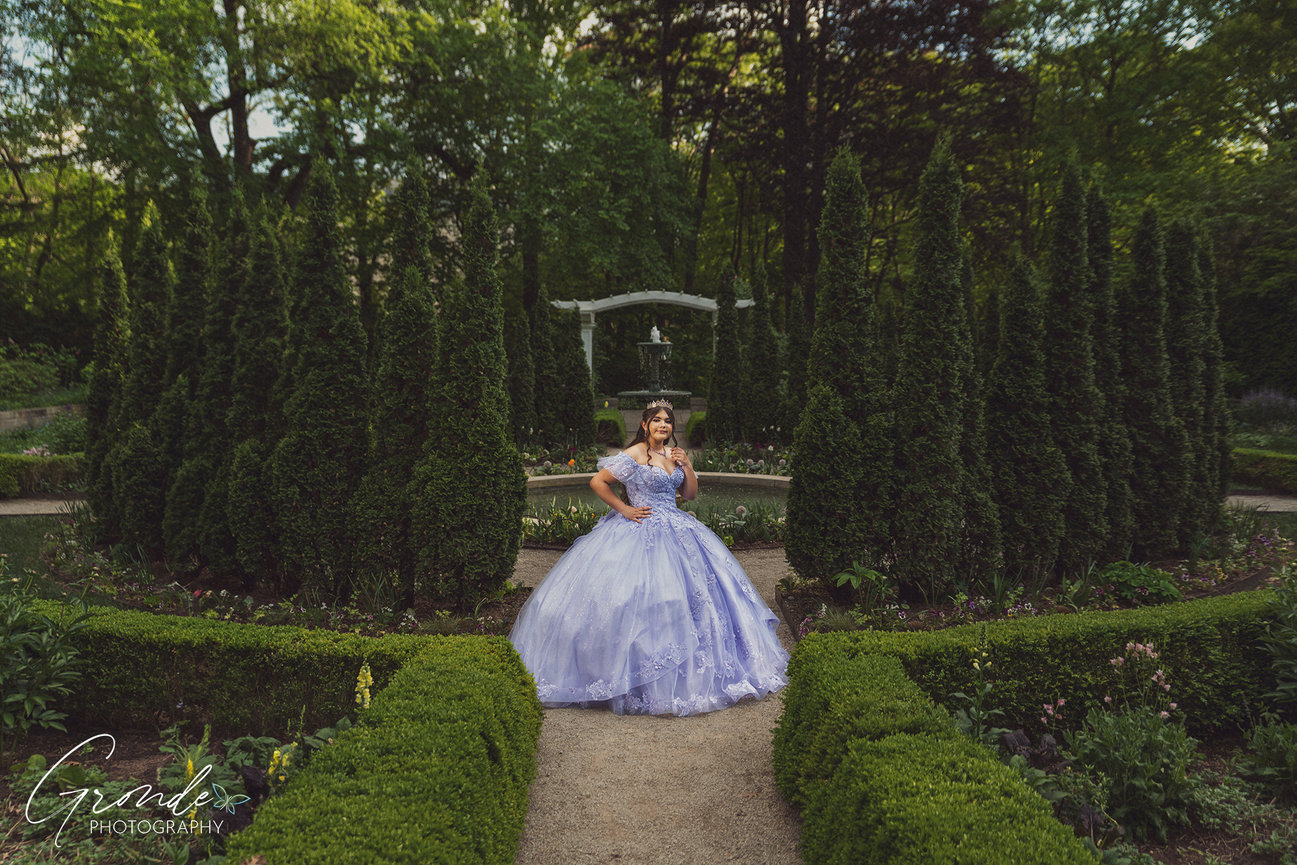 photo ideas for quinceanara dresses
